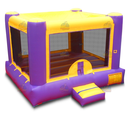 Purple & Yellow Bouncer