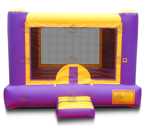 Purple & Yellow Bouncer