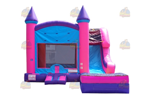 Pink Side Slide Castle We/Dry Combo