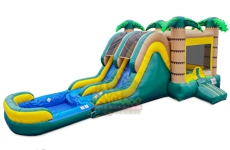 Dual Lane Tropical Combo with Pool