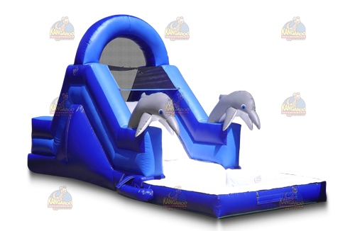 Mini Dolphin Slide with Pool