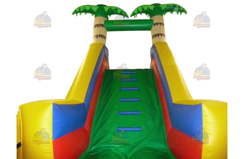 MultiColor Tropical Slide with Pool