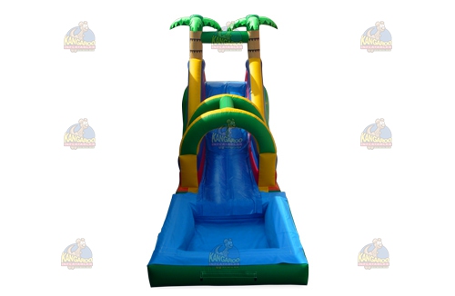 MultiColor Tropical Slide with Pool