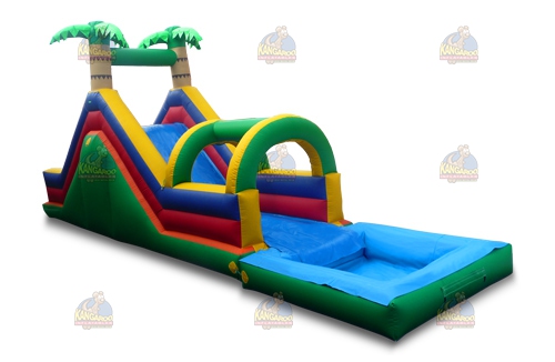 MultiColor Tropical Slide with Pool