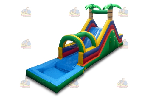 MultiColor Tropical Slide with Pool