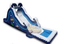 16 Ocean Wave Slide with Pool