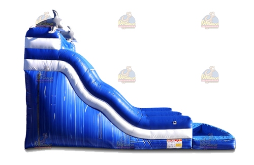 20 Dolphin Wave Slide