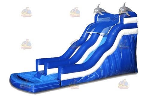 20 Dolphin Wave Slide