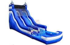 20 Dolphin Wave Slide