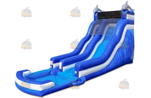 20 Dolphin Wave Slide