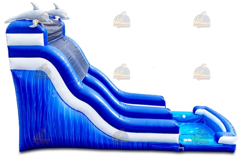 20 Dolphin Wave Slide