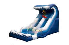 Surf Wave Water Slide