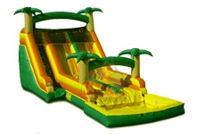 Tropical Palm Double Lane Waterslide