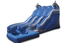Dual Curve Dolphin Waterslide