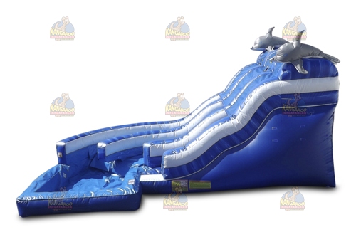 Dual Curve Dolphin Waterslide