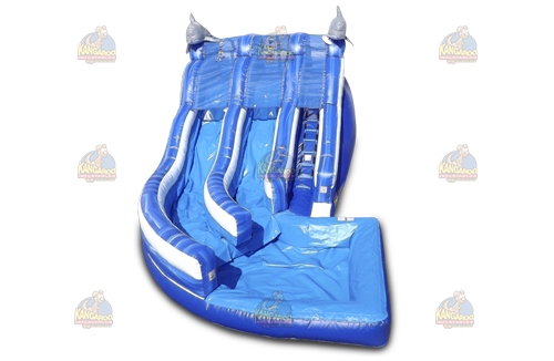 Dual Curve Dolphin Waterslide