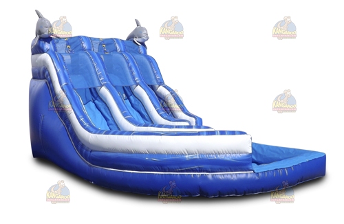 Dual Curve Dolphin Waterslide